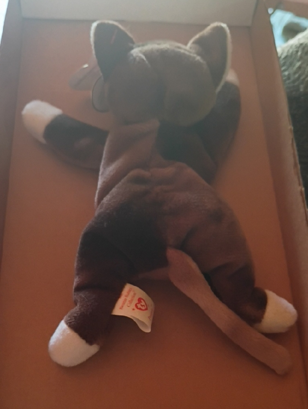Ty Brown and Cream Cat Beanie Baby with Heart Tag (Pounce) - Picture 4 of 6